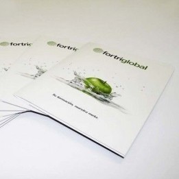 Carpeta dossier personalizada | Newgrafponline
