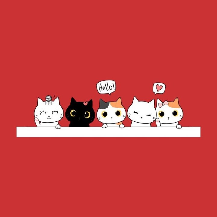 Sudadera Cats | Newgrafponline