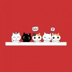Camiseta Cats