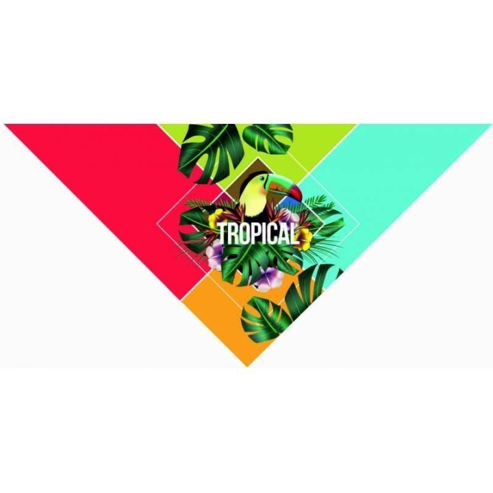 Pañuelo triangular sublimación